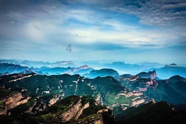 泡沫森林