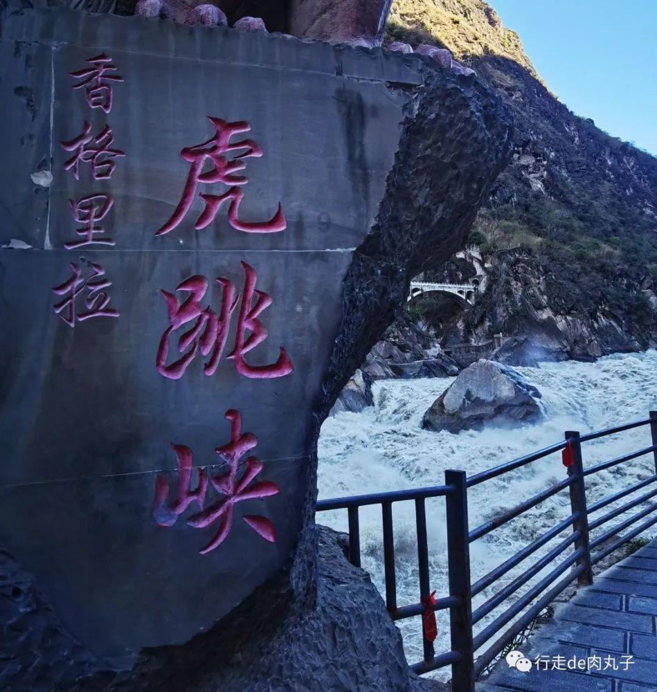 救援卡通老虎
