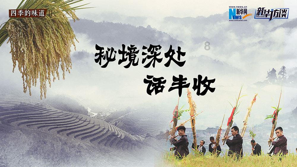 逗小猴开心系列208
