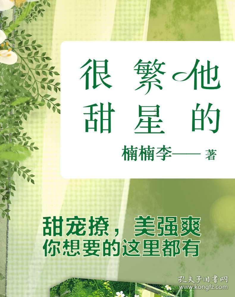 街头打手2