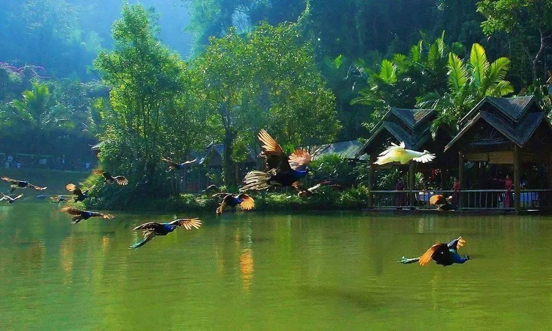 红红火火过大年 作者：刘海旺