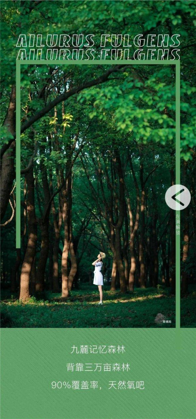 守护飞行城堡