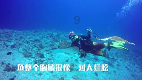 自然卷女孩逃生
