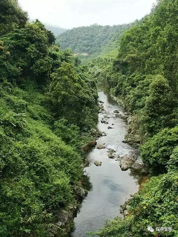 黑暗之魂3