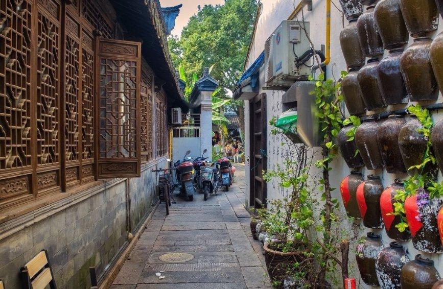 小僵尸射飞鸟