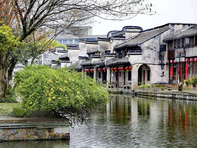 “税路通·海纳百川”护航攀枝花民营企业走好“海外路”