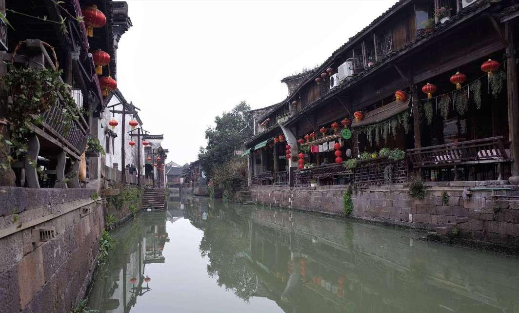 拯救枯树